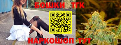 тгк Гусь-Хрустальный