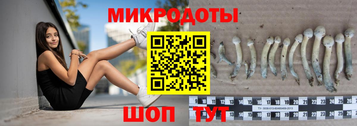 Набережные Челны  наркотики  Псилоцибиновые грибы GOLDEN TEACHER  Вход с VPN  Псилоцибиновые грибы MAGIC MUSHROOMS 